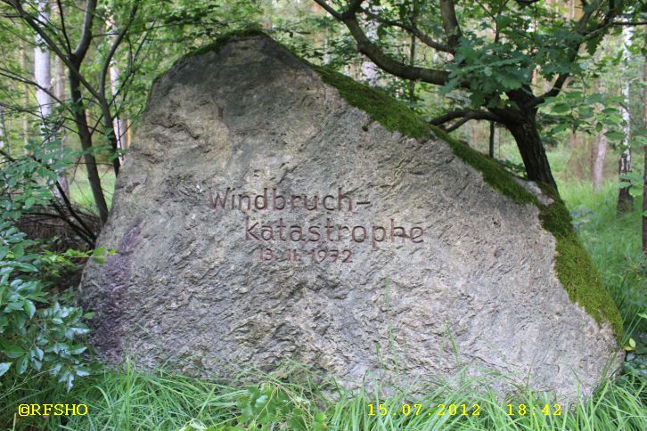 Windbruch Katastrophe 13.11.1972