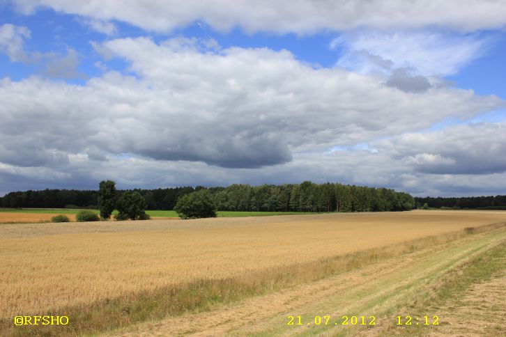 am Elbe-Seitenkanal