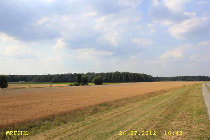 am Elbe-Seitenkanal