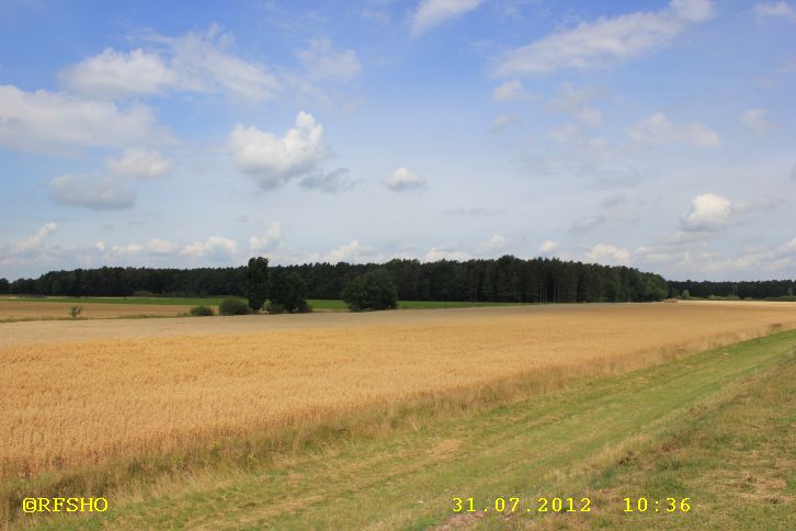 am Elbe-Seitenkanal