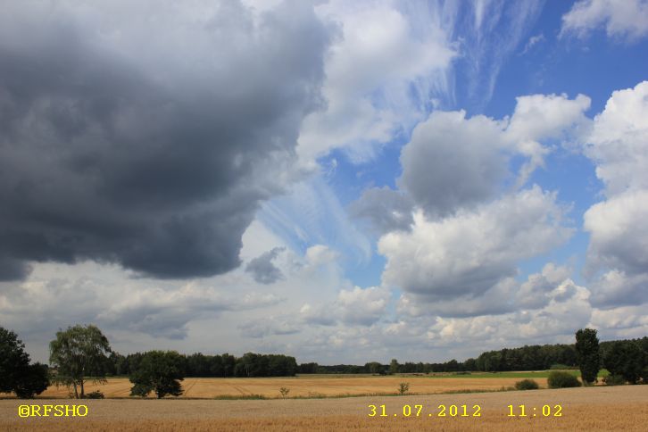 am Elbe-Seitenkanal