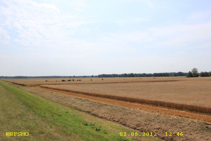 am Elbe-Seitenkanal