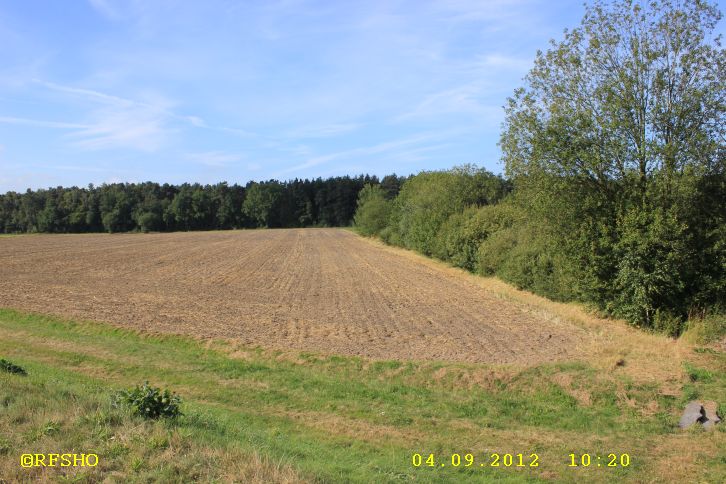 am Elbe-Seitenkanal