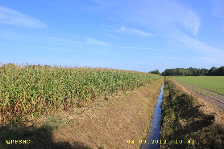 Talgraben am Große Wörde Weg