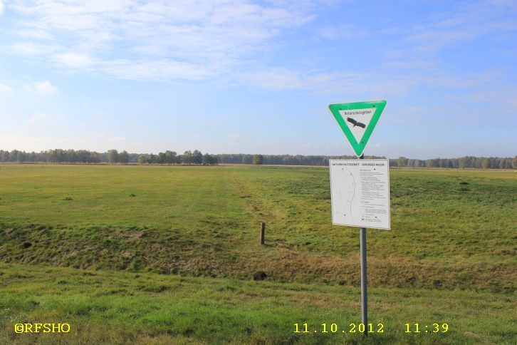 Naturschutzgebiet Großes Moor