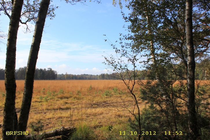 Naturschutzgebiet Großes Moor