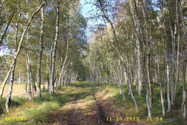 Naturschutzgebiet Großes Moor