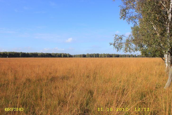 Naturschutzgebiet Großes Moor