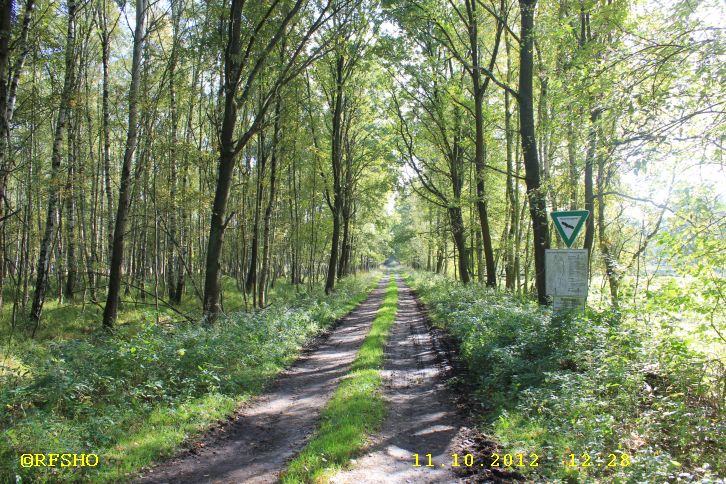 Naturschutzgebiet Großes Moor