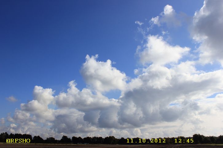 Naturschutzgebiet Großes Moor