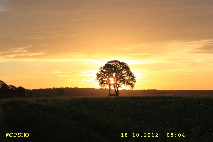 Sonnenaufgang − Großes Moor