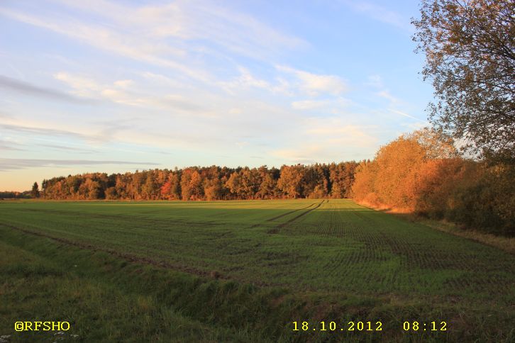  am Elbe-Seitenkanal