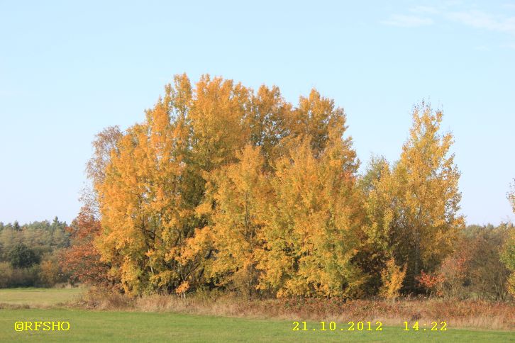 Spätsommer