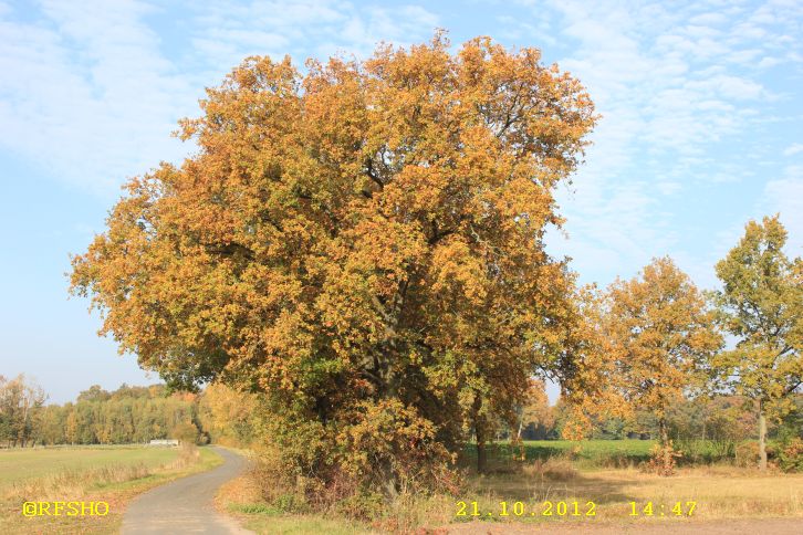 Zuckerlandweg