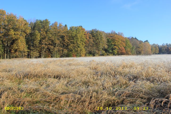 am Elbe-Seitenkanal