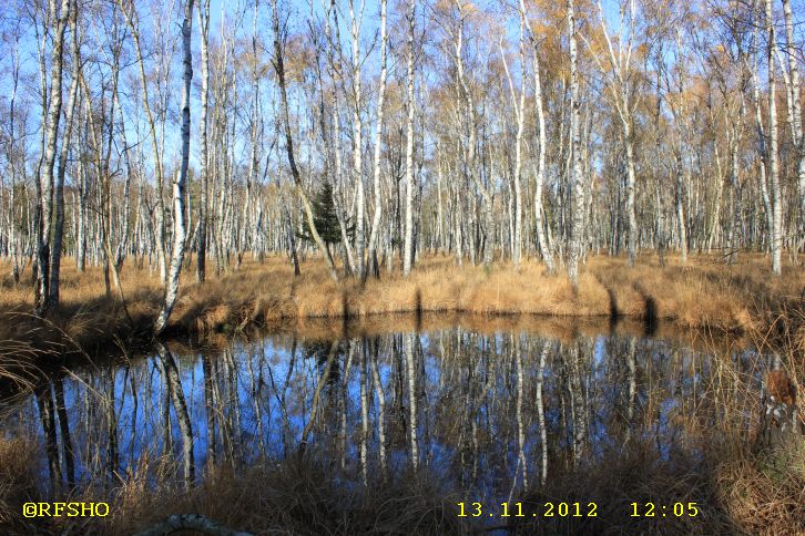 Großen Moor (Bombentrichter II. WK)