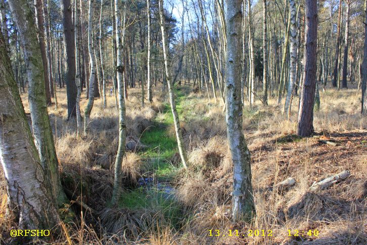 Großen Moor (Postdamm − Denkerkanal)