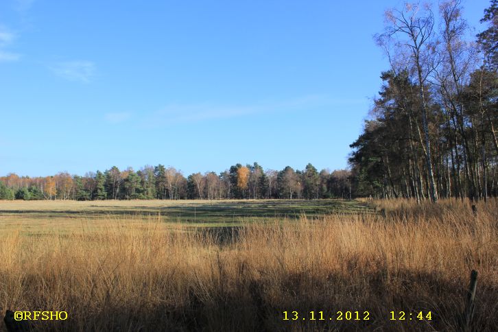 Großen Moor am Postdamm