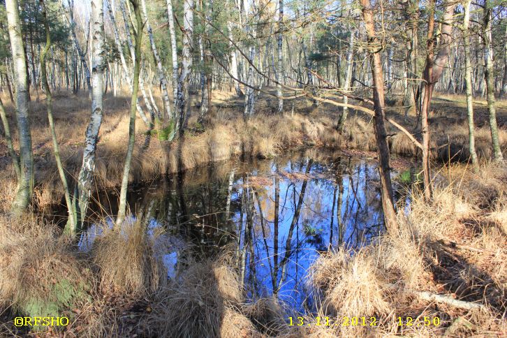 Großen Moor − Postdamm