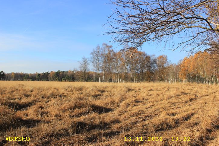 Großen Moor