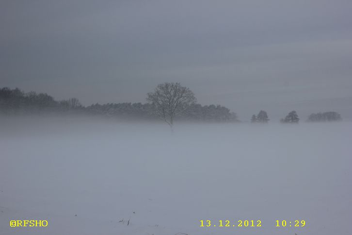 Großer Wiesenweg