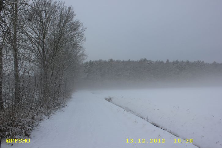 Großer Wiesenweg