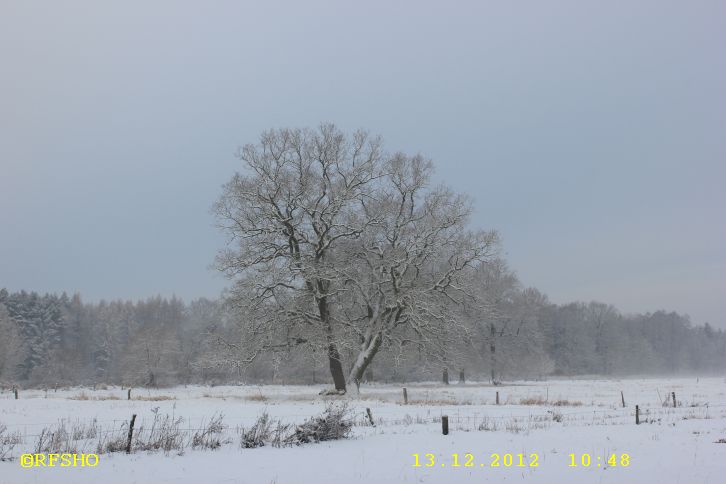 Großer Wiesenweg