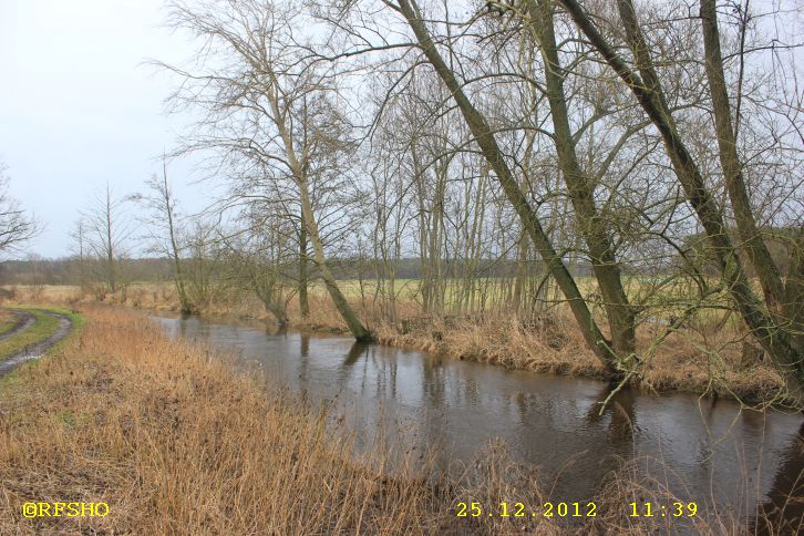 Ise - Lübingshorster Brücke