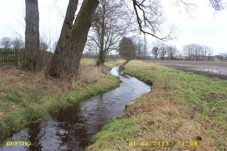 Riet am Glockenturm