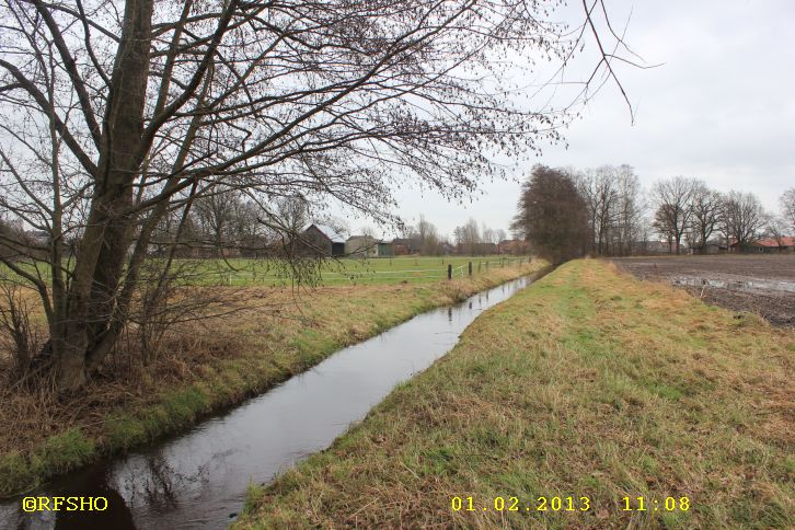 Riet am Glockenturm