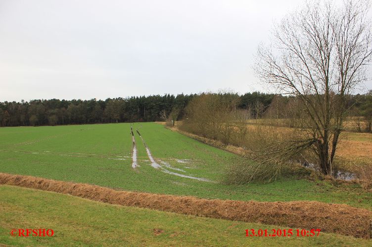 Am Elbe-Seitenkanal km 30,2