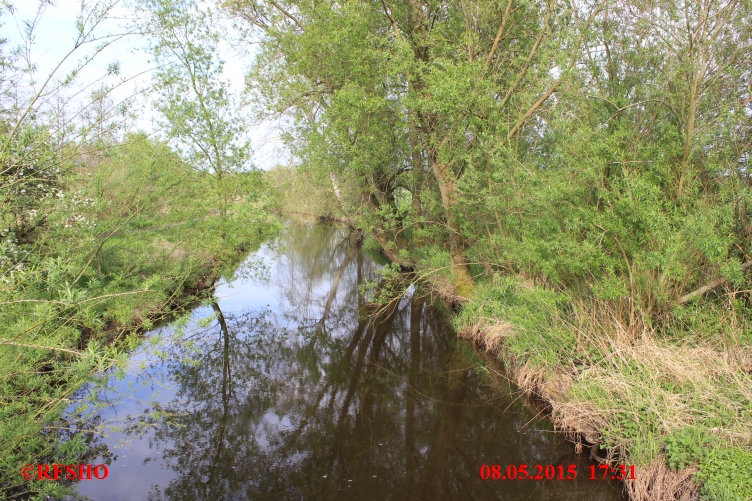 Ise, Lübingshorster Brücke