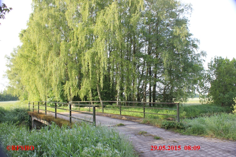 Ise, Lübingshorster Brücke