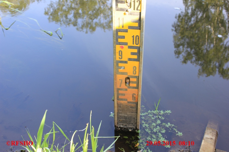 Ise, Lübingshorster Brücke, Isepegel