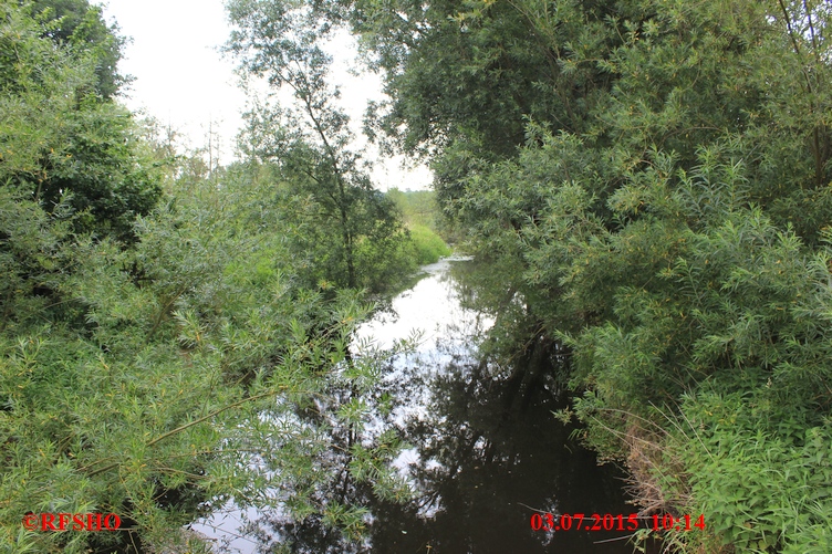 Ise, Lübingshorster Brücke