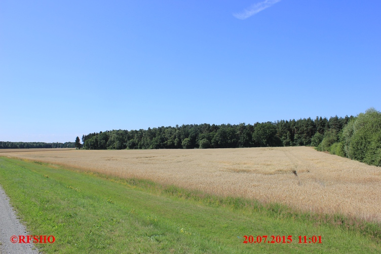 am Elbe-Seitenkanal km 30,2