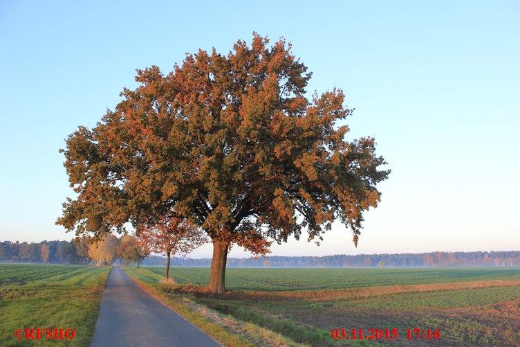 Schützenstraße