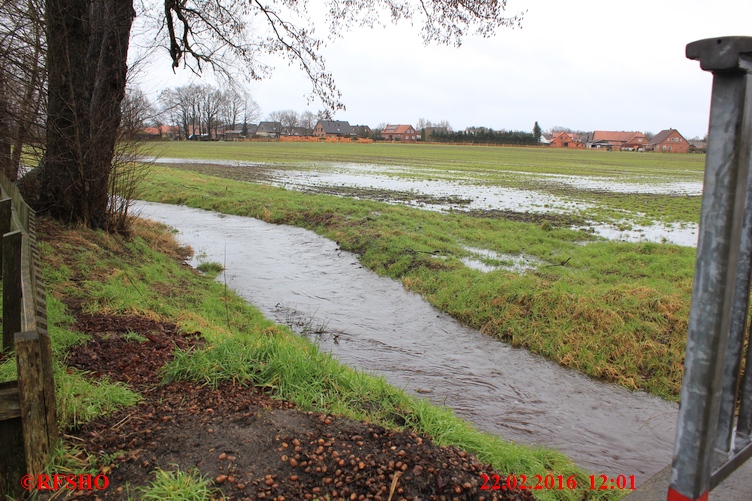 Riet am Glockenturm