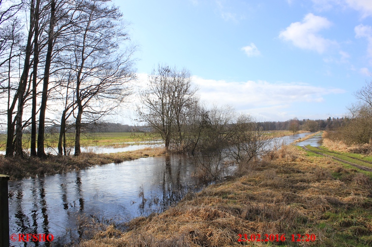 Ise, Lübingshorster Brücke