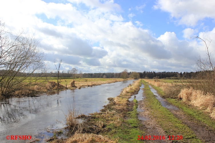 Ise, Lübingshorster Brücke