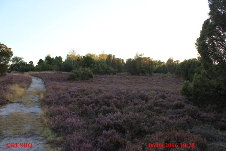 Naturschutzgebiet Heiliger Hain