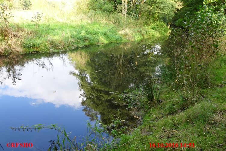 am alten Isewehr (leider abgerissen)