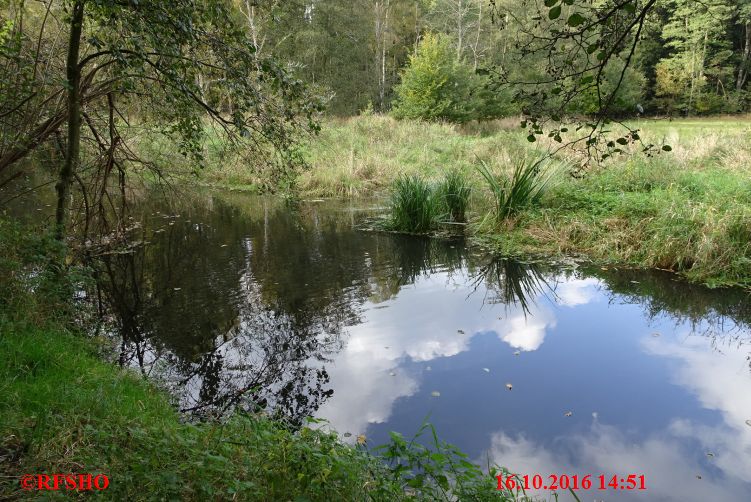 am alten Isewehr (leider abgerissen)