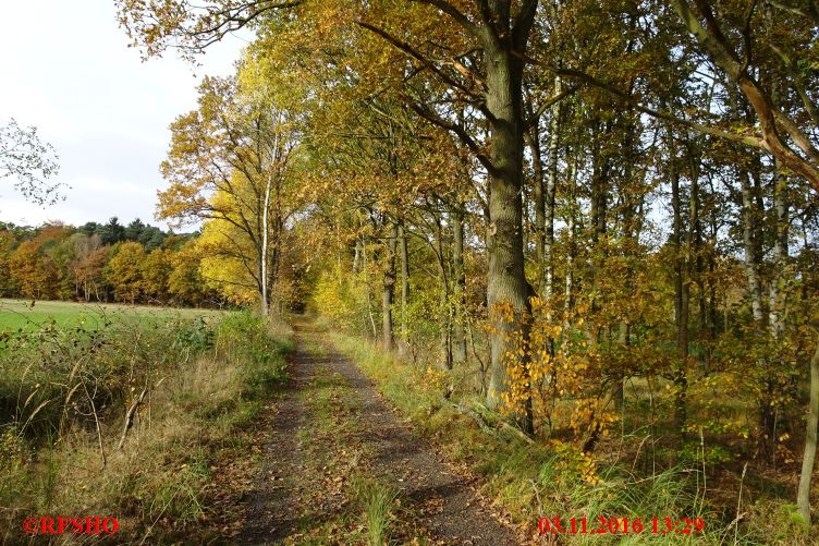 Elbe-Seitenkanal, km 30,2