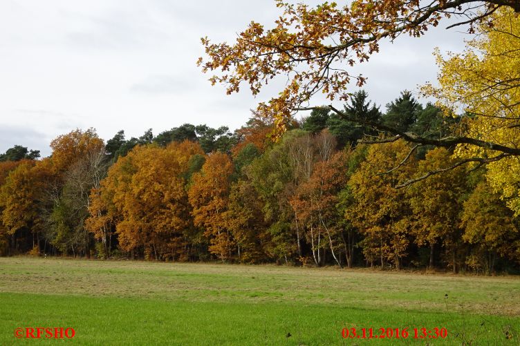 Elbe-Seitenkanal, km 30,2