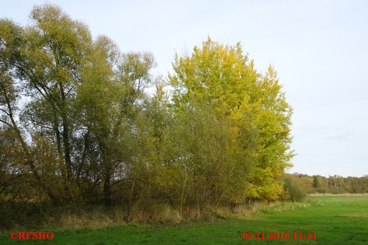 Ise, Lübingshorster Brücke