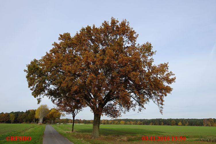 Schützenstraße