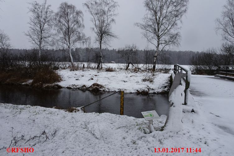 Ise, Lübingshorster Brücke, Isepegel