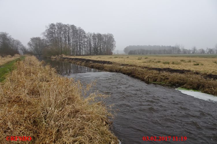 Ise, Lübingshorster Brücke