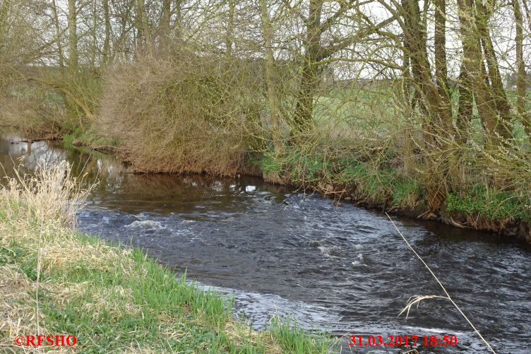 Ise, Lübingshorstwiesen